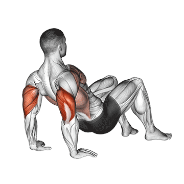 TREINO PARA MULHERES INICIANTES