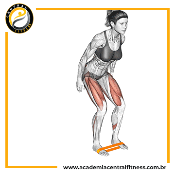 EXERCÍCIOS PARA GLÚTEOS PARA INICIANTES