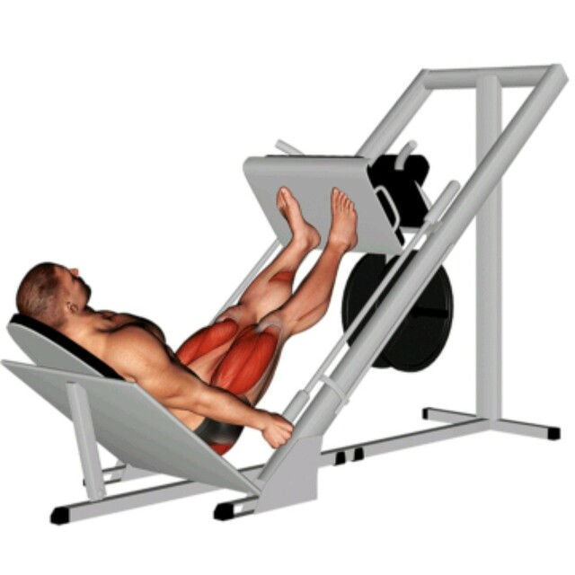 Leg Press 45: Para que Serve, Como fazer, Músculos Trabalhados