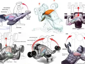 10 Best Chest Exercises for Mass (And How to Save Your Shoulders)