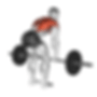 Seated Low Rows to Other Back Exercises