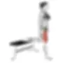 Split Squats