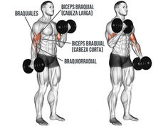Dumbbell Bicep Curls: Technique, Variations & Common Mistakes