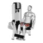 Leg Extensions