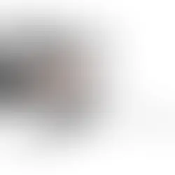 Leg Curl: How to do it, Muscles Worked and Benefits [2025]