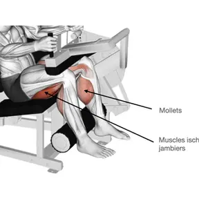 Leg Curl: How to do it, Muscles Worked and Benefits [2025]