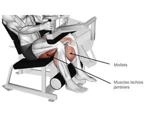 Leg Curl: How to do it, Muscles Worked and Benefits [2025]