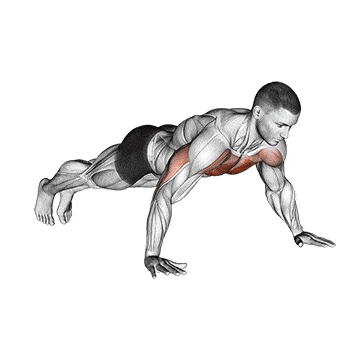 Exercício para perder barriga 4: Flexões
