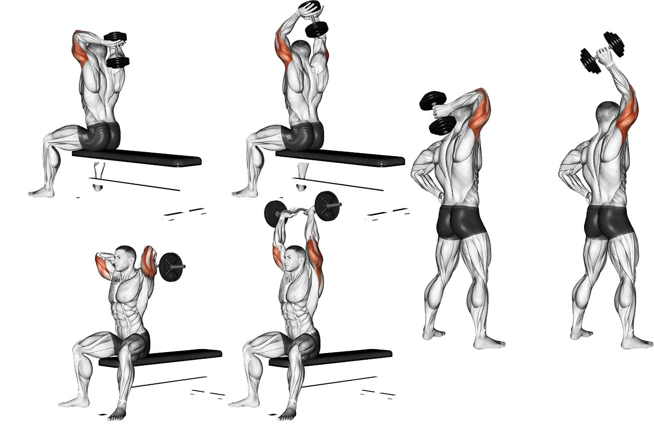 Tríceps Francês Para que Serve e Como Fazer