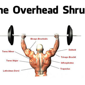 Stop Doing Normal Shrugs! Why the Barbell Overhead Shrug is the Ultimate Trap Builder