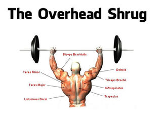 Barbell Overhead Shrug: How to Do It, Benefits, Muscles Worked & Tips 
