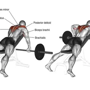 Rear Delt Workout: Exercises, Form Cues, Mistakes & Programming