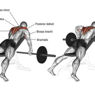 Rear Delt Workout for Mass: Build 3D Shoulders & Stop Trap Pain