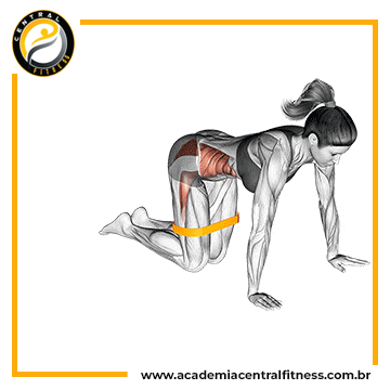 EXERCÍCIOS PARA GLÚTEOS PARA INICIANTES