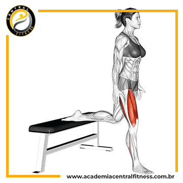 EXERCÍCIOS PARA GLÚTEOS PARA INICIANTES