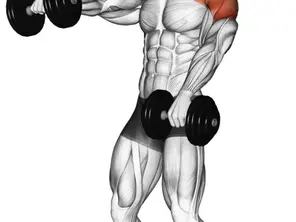 Elevação Frontal com Halteres