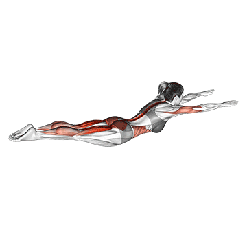TREINO PARA MULHERES INICIANTES