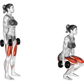 Dumbbell Squat