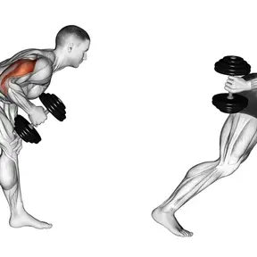 Dumbbell Kickback: How to do it, Muscles Worked and Benefits [2025]