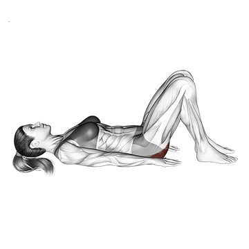 TREINO PARA MULHERES INICIANTES