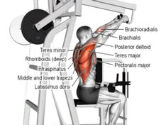 5 Benefícios Únicos dos Exercícios em Máquinas