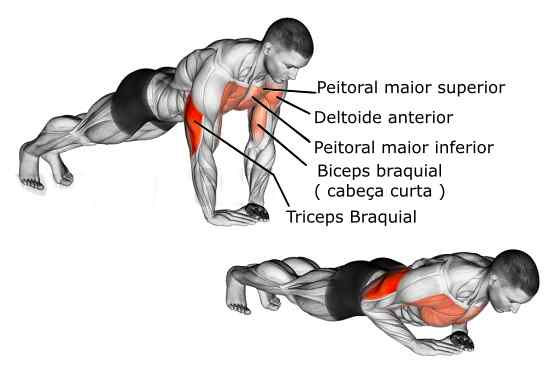 6 Fundamentos de Braço para Iniciantes