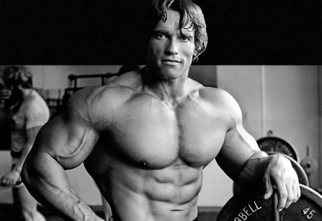 TUDO QUE VOCÊ PRECISA SABER PARA FAZER MUSCULAÇÃO