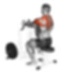Seated Low Rows to Other Back Exercises