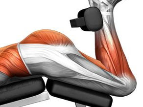 5 Benefits of Leg Curl Machine: Why This "Simple" Exercise Is a Game-Changer [2026]