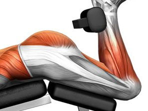 5 Benefits of Leg Curl Machine: Why This "Simple" Exercise Is a Game-Changer [2026]