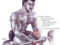 Forearm Exercises: Build Grip Strength & Tone Forearms (Workout Plan)