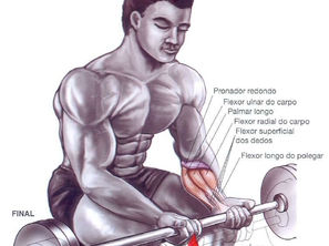 Complete Forearm Training: Unveiling Strength and Definition
