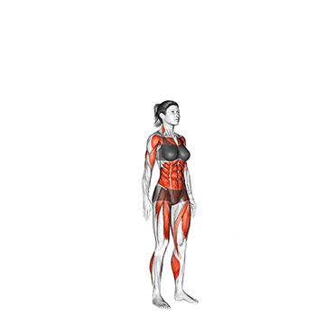 TREINO PARA MULHERES INICIANTES