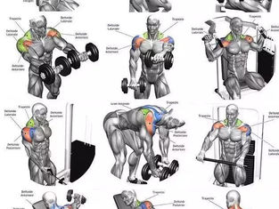 Full Body Workout for Mass