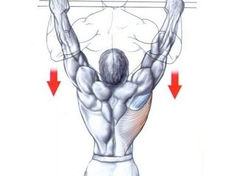 Pull‑Up Alternatives: How to do it, Muscles Worked and Benefits [2025]