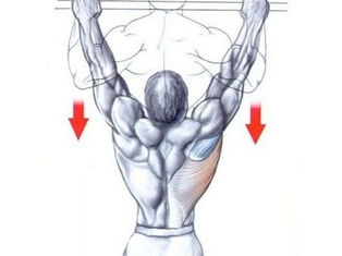 Pull‑Up Alternatives: How to do it, Muscles Worked and Benefits [2025]