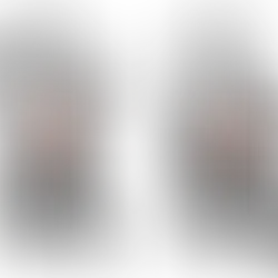 Puxada Pronada Articulada: Como Fazer, músculos trabalhados e Benefícios [2025]