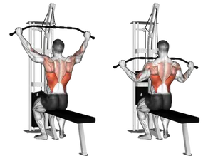 Puxada Pronada Articulada: Como Fazer, músculos trabalhados e Benefícios [2025]