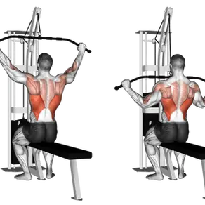 Puxada Pronada Articulada: Como Fazer, músculos trabalhados e Benefícios [2025]