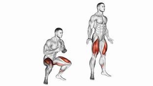 5 Best Quad Exercises