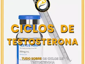 Ciclos de Testosterona
