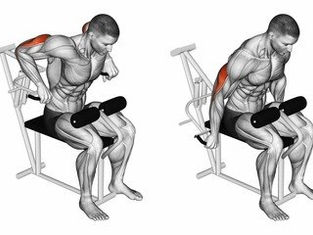 Lever Triceps Dip: How to do it, Muscles Worked and Benefits [2025]