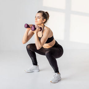 Beginner Workout Plan