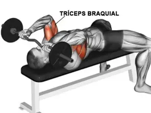 Treino de Tríceps