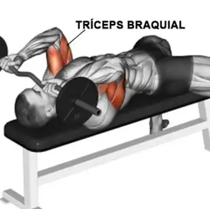 Mastering the Lying Barbell Triceps Extension: Your Ultimate Guide to Sculpted Arms