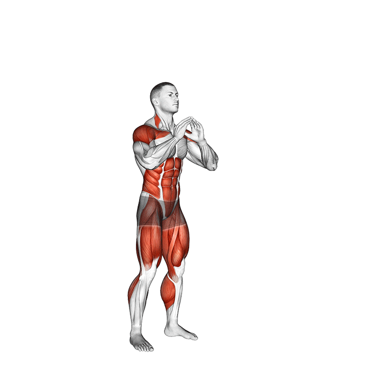 TREINO PARA MULHERES INICIANTES