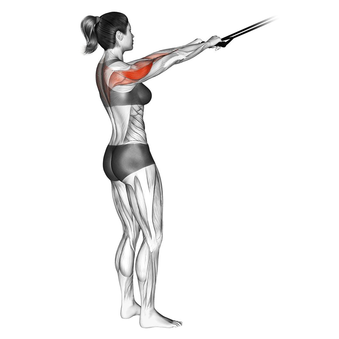 Face Poll Face Pulls: Form, Benefits, Muscles Worked, Common Mistakes