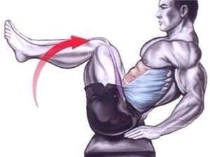 Crunches Unleashed: The Ultimate Guide to a Chiseled Core (Without Neck Pain)