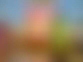 Corrida Ajuda a Perder Gordura