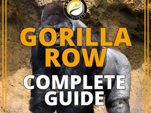 Gorilla Row: How to Do It, Muscles Worked, Benefits & Mistakes